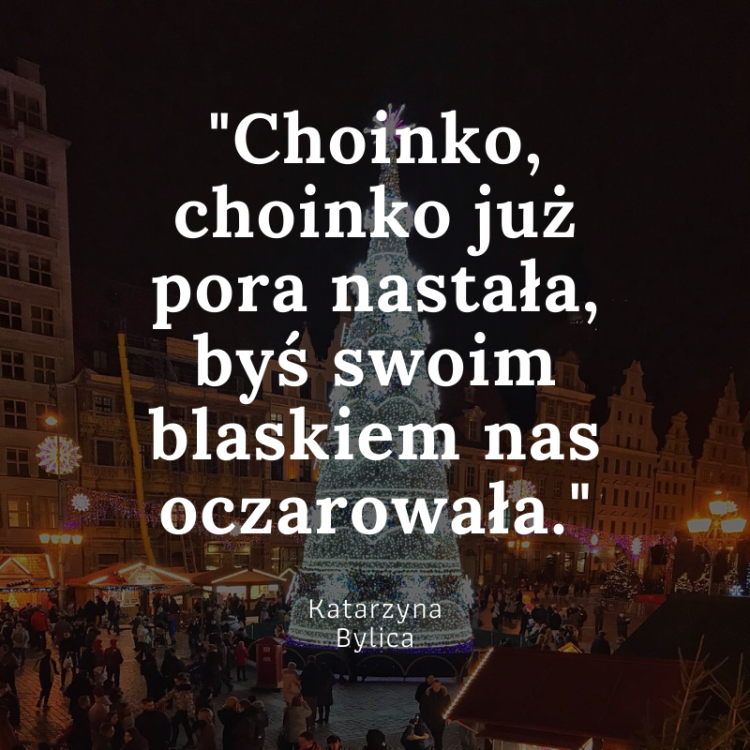 Choinka na wrocławskim Rynku zostanie rozświetlona specjalnym zaklęciem, UM Wrocław