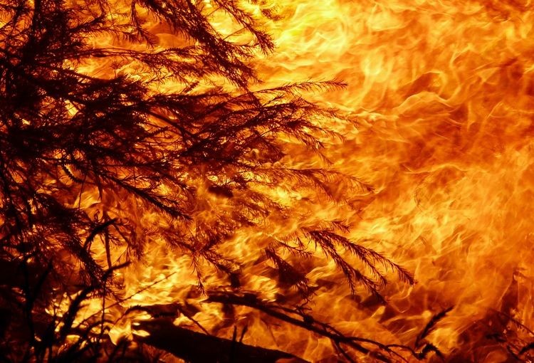 Hydropolis wspiera walkę z pożarami w Australii, 0
