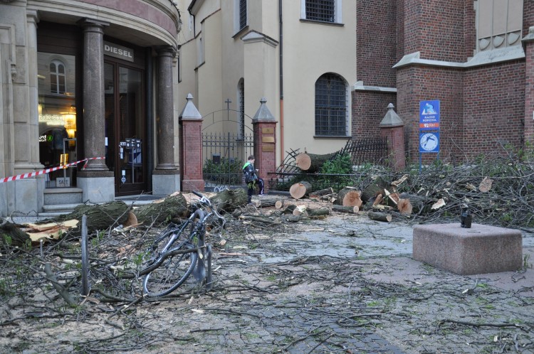 Na ulicę Świdnicką spadło duże drzewo. Zniszczenia usuwa parafia [ZDJĘCIA], mgo