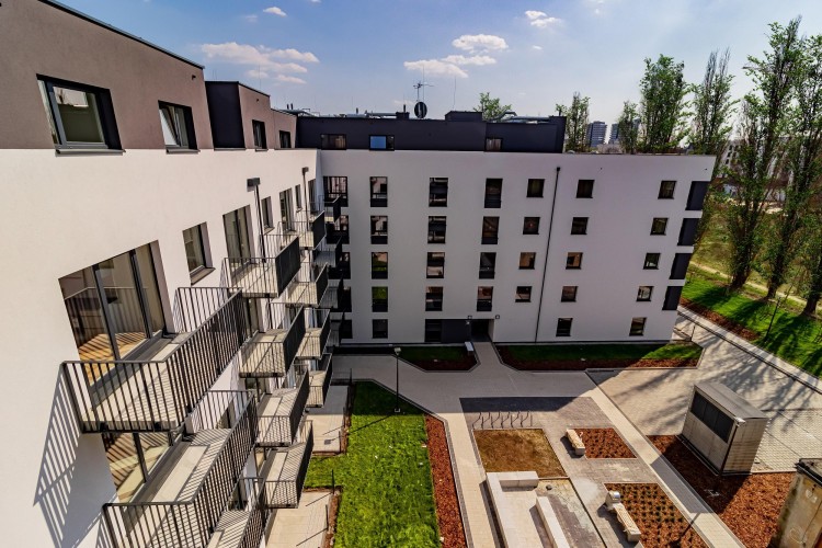 Nowe mieszkania na wynajem we Wrocławiu - zobacz, gdzie możesz zamieszkać, 0