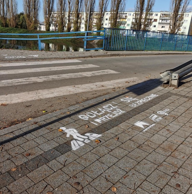 Akcja malowania ostrzeżeń na przejściach dla pieszych. „Odłącz się” i żyj!, Młody Dolny Śląsk