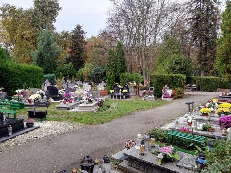 Nowy cmentarz komunalny we Wrocławiu. 87 tys. grobów na 30 hektarach, Bartosz Senderek