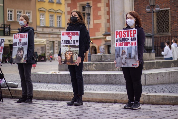 Aktywiści protestowali przeciwko testom na zwierzętach [ZDJĘCIA], Anna Plebańska