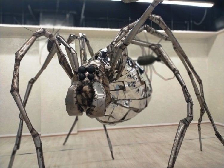 Wystawa pająków i skorpionów znów otwarta. Można wziąć je na ręce! [ZOBACZ], Mat. pras.
