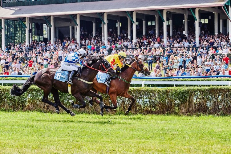 Start długiego weekendu pod znakiem wyścigów konnych na Partynicach, Agata Władyczka