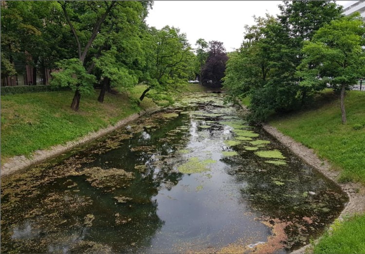 Będzie remont fragmentu wrocławskiej fosy miejskiej, UM Wrocław