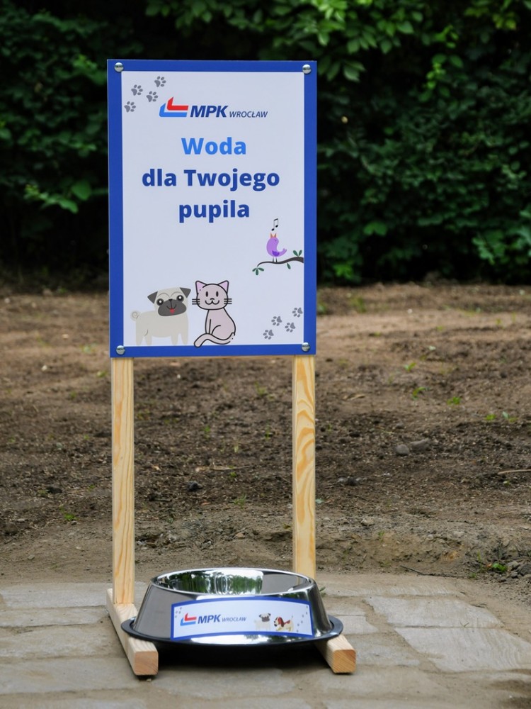 Wrocław: Na terenie miasta stanie 10 wodopojów dla psów, MPK Wrocław