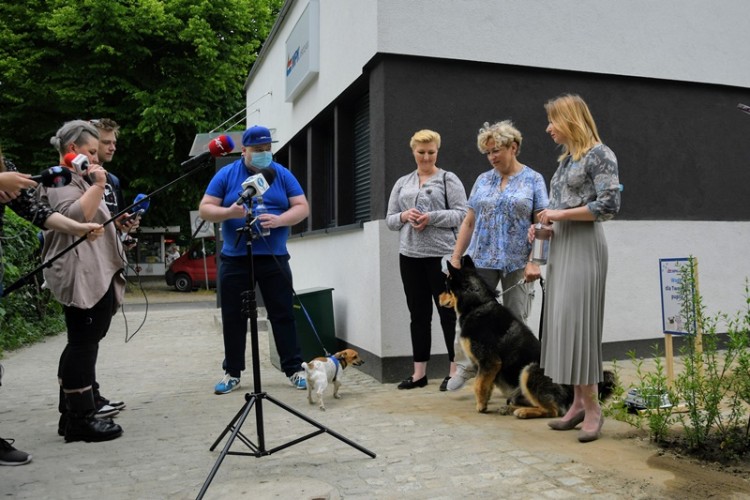 Wrocław: Na terenie miasta stanie 10 wodopojów dla psów, MPK Wrocław