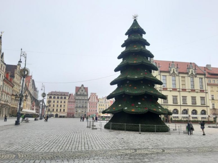 Przetarg na iluminację świąteczną Wrocławia. Będzie inna niż w ostatnich latach, ks