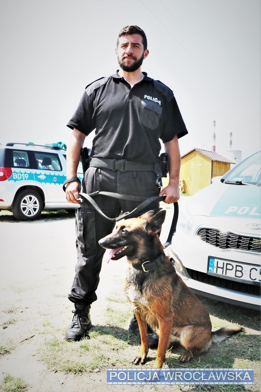 Policyjny pies Mig odnalazł zagubionego seniora, KMP we Wrocławiu