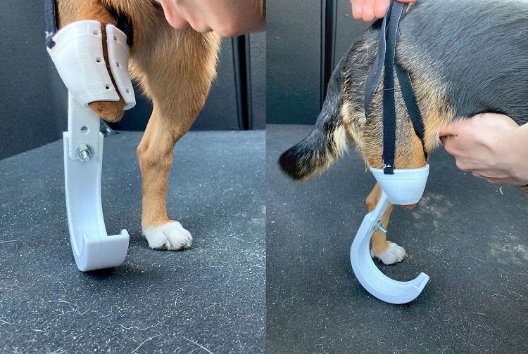 Student z Wrocławia drukuje protezy dla okaleczonych psów, mat. prasowe UPWr