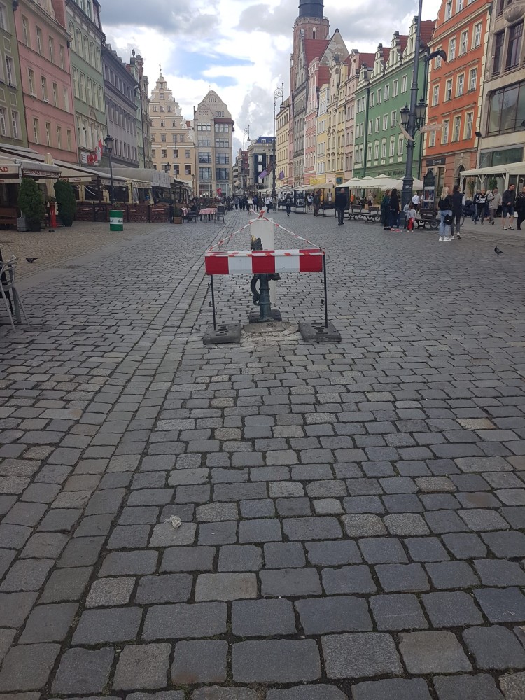 Potrącenie krasnala na wrocławskim Rynku, Straż Miejska Wrocławia