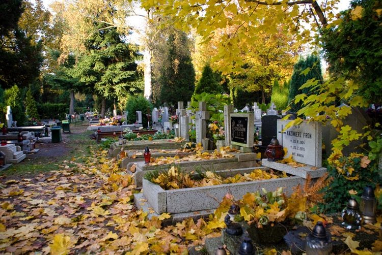 We Wrocławiu zaszczepisz się na cmentarzu [ADRESY, TERMINY], 0
