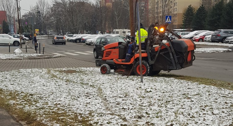 Wrocław: Zamiast latem kosić trawę, koszą zimą śnieg? Miasto zapowiada: będzie kara, 