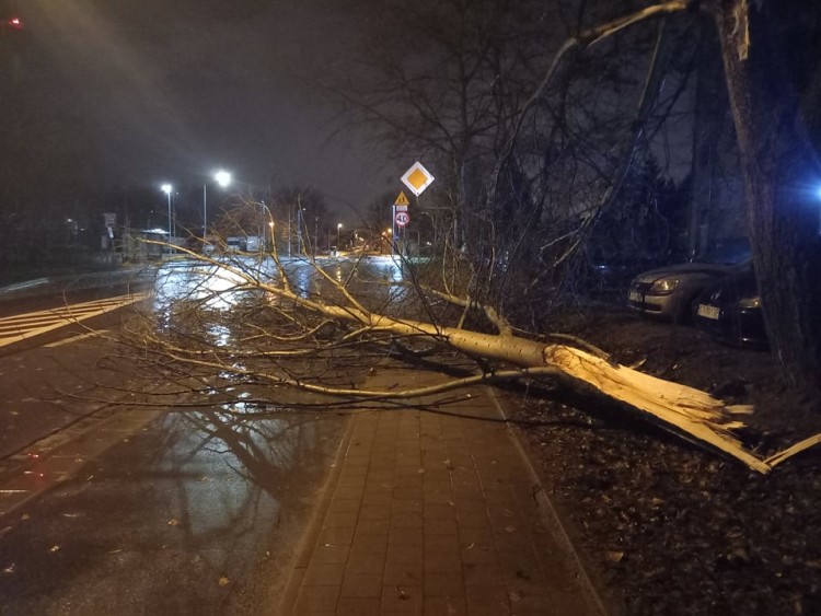 Wrocław: orkan Dudley siał spustoszenie w mieście i regionie, MM