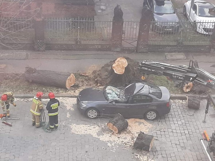 Wrocław: orkan Dudley siał spustoszenie w mieście i regionie, Katarzyna Muzykiewicz