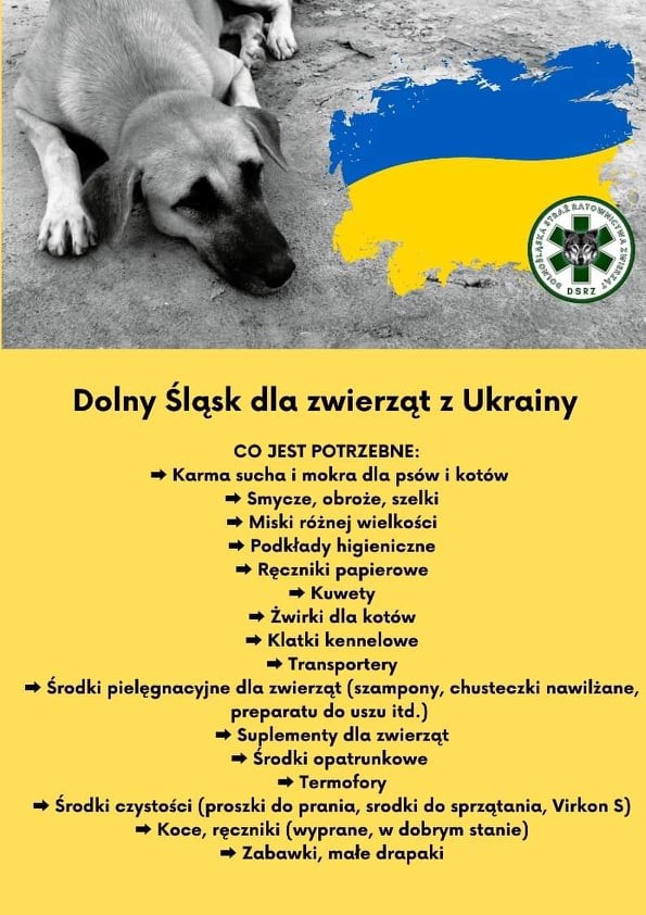 Wrocław: co ze zwierzętami uchodźców z Ukrainy? Pomogą schronisko i wolontariusze, Dolnośląska Straż dla Zwierząt