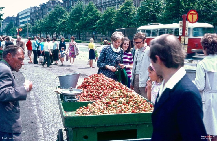 Plac Grunwaldzki 50 lat temu. Ależ zielono! A gdzie są korki?, fotopolska.eu