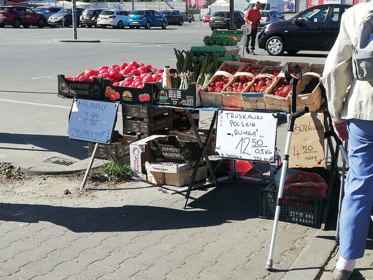 Wrocław: Kiedy polskie truskawki z pola będą w sprzedaży? Jest taniej niż rok temu!, mgo