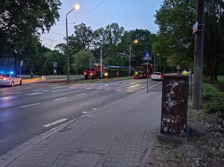 Wrocław: Wykolejenie tramwaju na ul. Mickiewicza. Już drugie w tym miejscu [ZDJĘCIA], Jan Dańczak