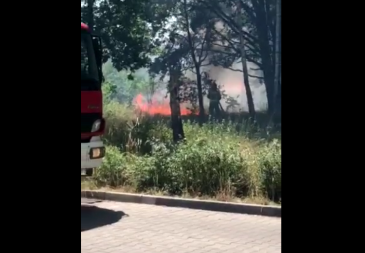 Wrocław: Duży pożar na zachodzie miasta [FILM], Czytelniczka