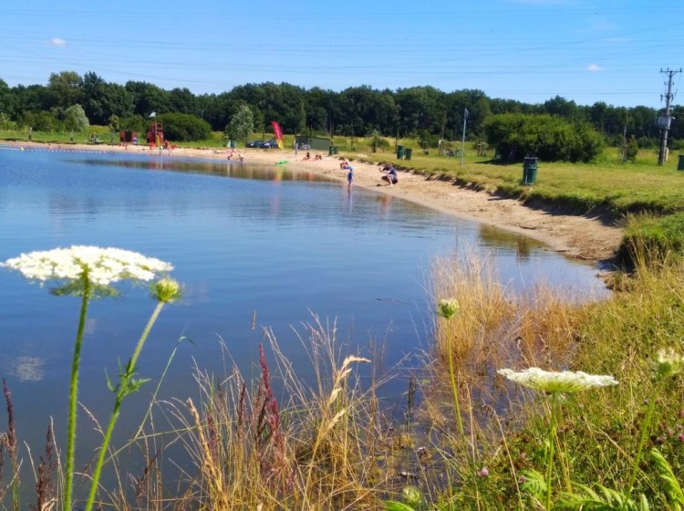 Nieodkryte kąpielisko tuż przy granicy Wrocławia. Ale czysta woda! I to za darmo!, Siechnicka Inwestycyjna Spółka Komunalna