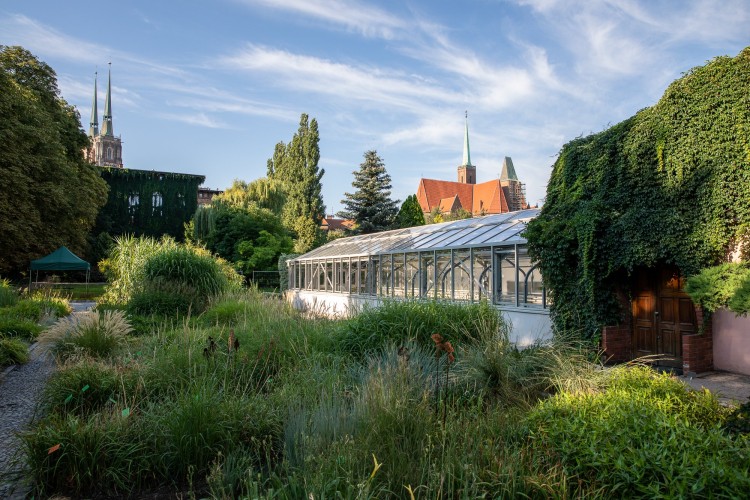 Wrocław: Szklarnie w Ogrodzie Botanicznym wyremontowane. Znów można ich używać [ZDJĘCIA], UWr