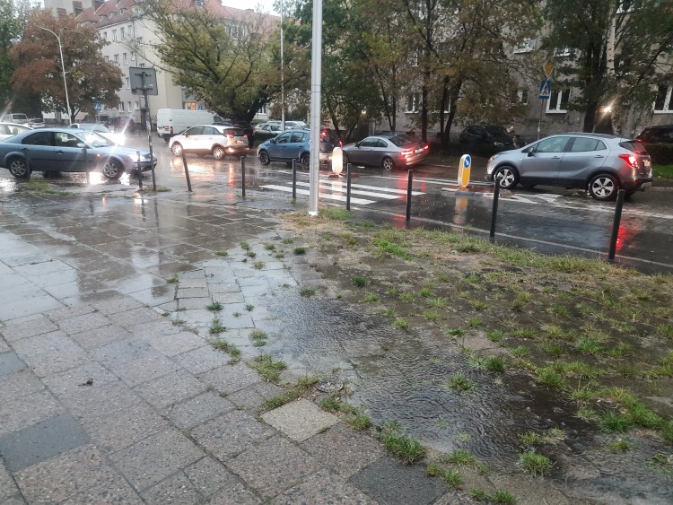 Cyklon Peggy we Wrocławiu. Drzewo spadło na człowieka, ulice pod wodą, archiwum/B.Berbeć