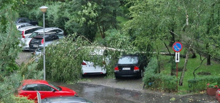 Cyklon Peggy we Wrocławiu. Drzewo spadło na człowieka, ulice pod wodą, Michał Sieński