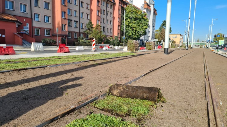Nowe zielone torowisko we Wrocławiu. Ruszyły prace [ZDJĘCIA], Wrocławskie Inwestycje