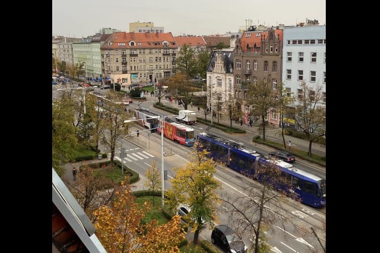 Utrudnienia dla pasażerów MPK Wrocław po awarii tramwaju, Konrad Widaj