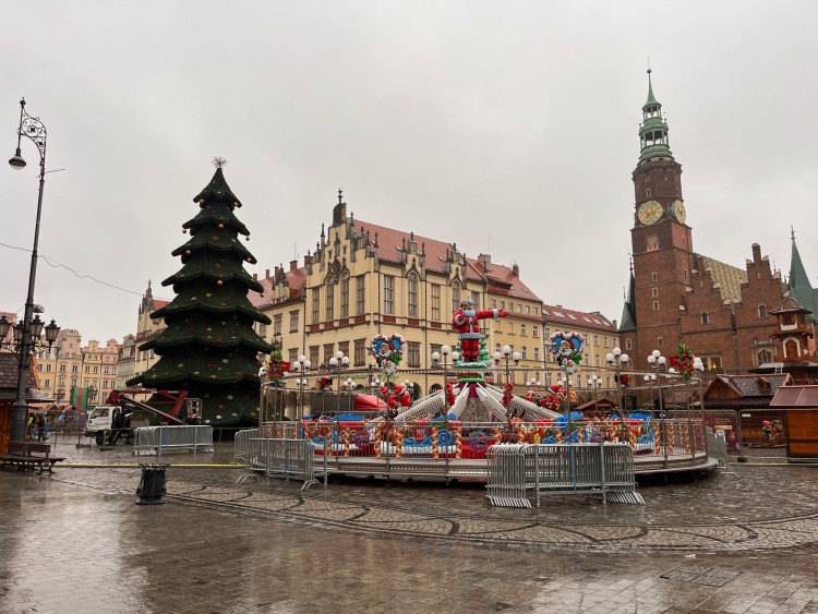 Wrocław: Choinka na Rynku już stoi, Jakub Jurek