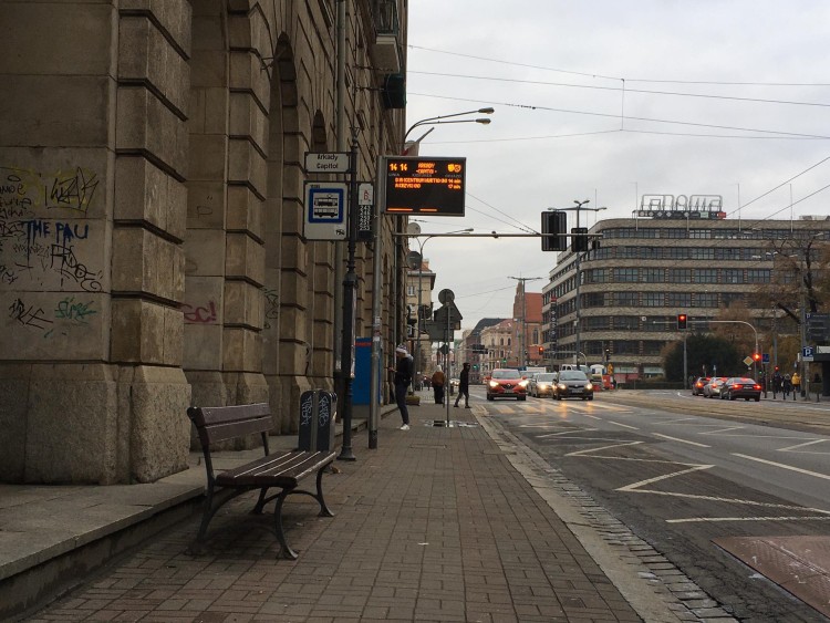 Wrocław: Sutryk chwali nowo otwarte torowisko. Jedzie koło niego samochodem, ip
