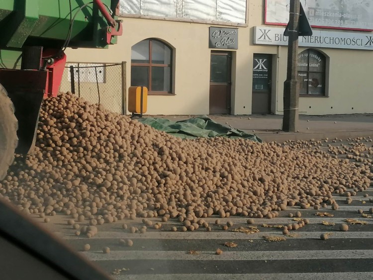 Ludzie rzucili się na ziemniaki. Na trasę Wrocław - Opole wysypała się ich cała przyczepa [WIDEO], Łukasz Beru
