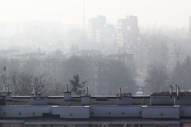 Fatalny stan powietrza we Wrocławiu. W tych częściach miasta sytuacja jest najgorsza, Magda Pasiewicz/archiwum