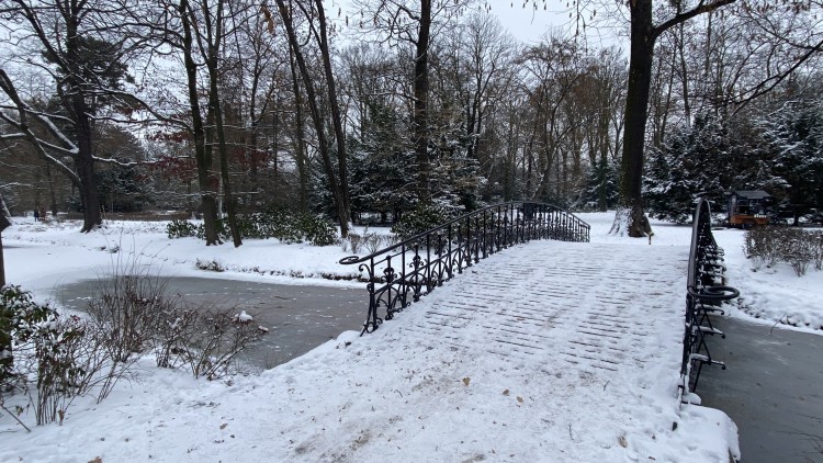 We Wrocławiu jak w bajce. Parki toną w śniegu, jest tam magicznie, 