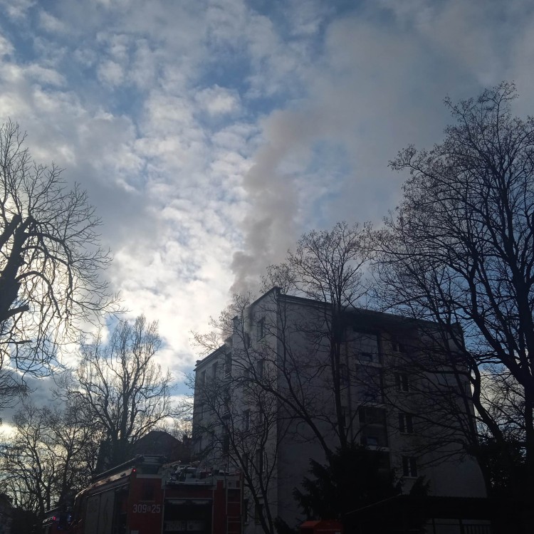 Wrocław: Pożar mieszkania na Krzykach. Sześć osób w szpitalu, Elżbieta Goman