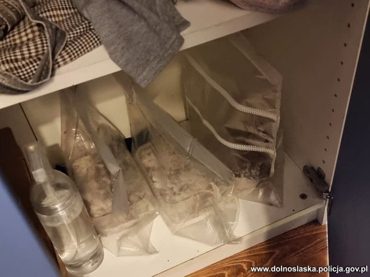 Wrocław: Podejrzani o udział w handlu narkotykami zatrzymani. Jeden z nich uprawiał w szafie grzybki halucynogenne, KWP Wrocław