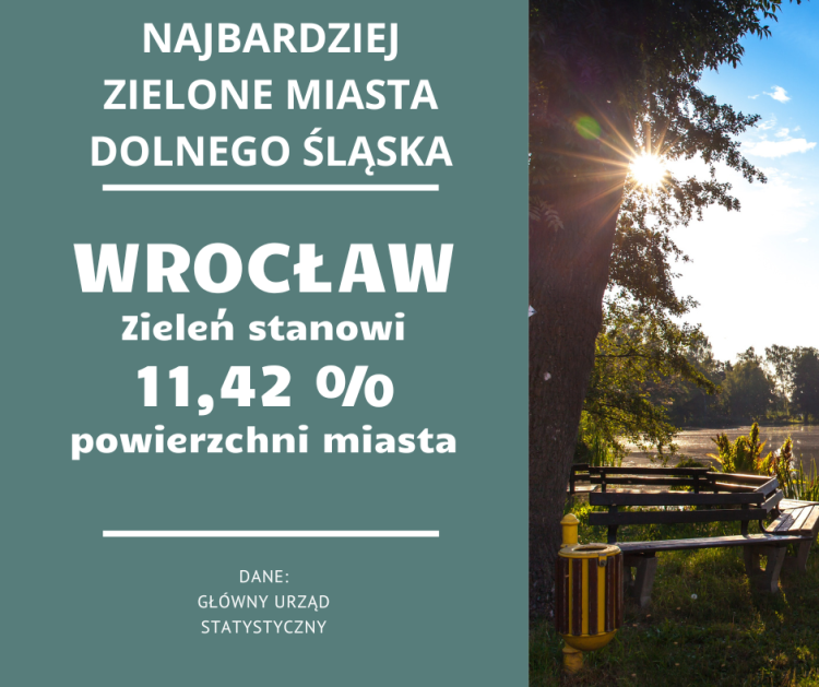 Oto 10 najbardziej zielonych miast na Dolnym Śląsku. Wrocław w czołówce!, Pexels