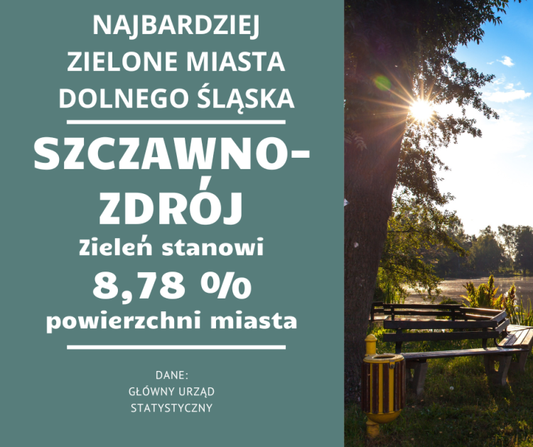 Oto 10 najbardziej zielonych miast na Dolnym Śląsku. Wrocław w czołówce!, Pexels