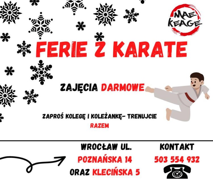 Ferie we Wrocławiu: To można robić w mieście w ferie zimowe 2023, Mae Keage Kyokushin Team Wrocław