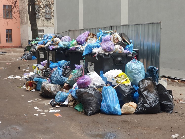 Wrocław unieważnia przetarg na wywóz śmieci. Bo było za drogo. Ale rachunków mieszkańcom nie obniży, Straż Miejska Wrocławia