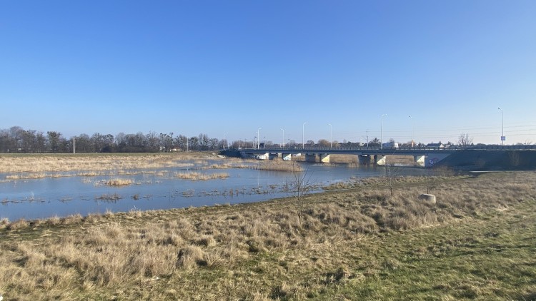 Alarm powodziowy na Dolnym Śląsku. Chodzi o kilkanaście rzek. Możliwy też gwałtowny wzrost Odry, 