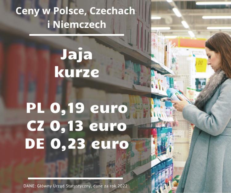 Polska, Czechy i Niemcy. Ten sam produkt w sklepie, a ceny zupełnie inne, Adobe Stock
