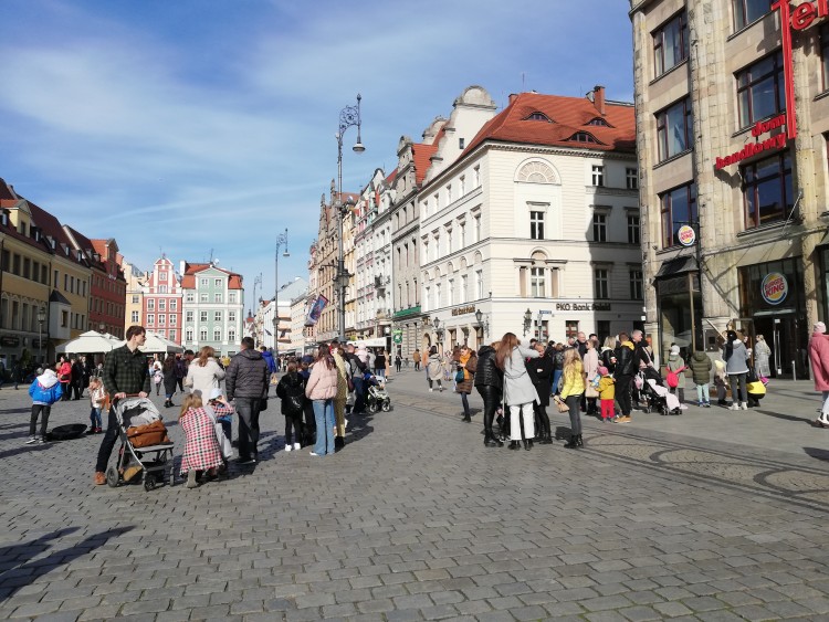 Wiosna we Wrocławiu. Turyści, ogródki piwne i spacery w słońcu [ZDJĘCIA], mgo
