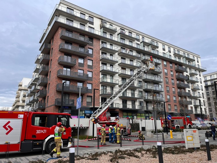 Wrocław: Pożar mieszkania przy ul. Białowieskiej. Akcja strażaków na ósmym piętrze, Jakub Jurek
