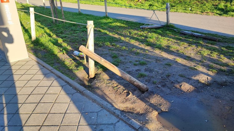 Wrocław: Słupki miały chronić trawnik przed wandalami. 