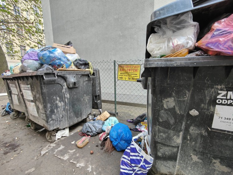 Mieszkańcy Przedmieścia Oławskiego walczą o wiatę na odpady. Sąsiedzi podrzucają im śmieci, Zdjęcie nadesłane przez czytelnika