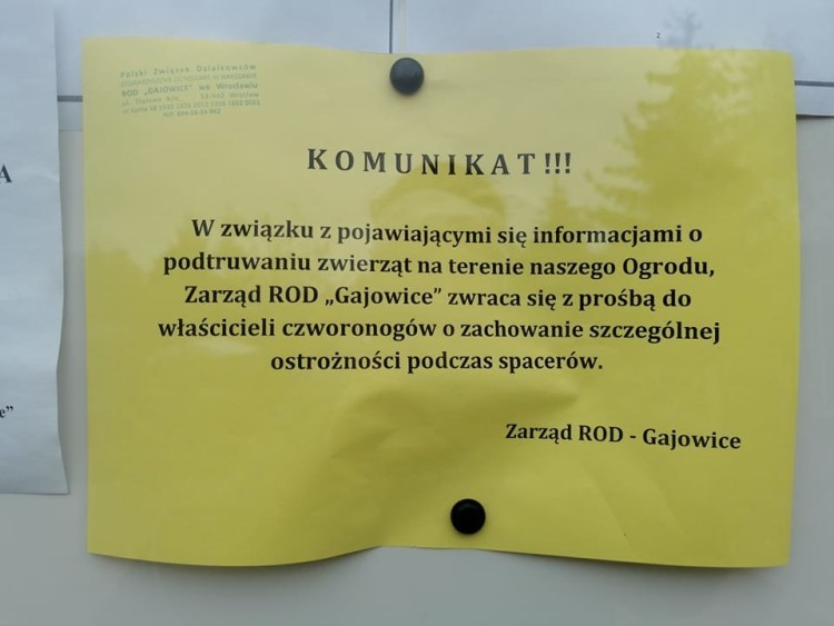 Wrocław: Trują zwierzęta na działkach? Zarząd ROD apeluje o ostrożność, Nadesłane/Kaja Rutka- Iwańska