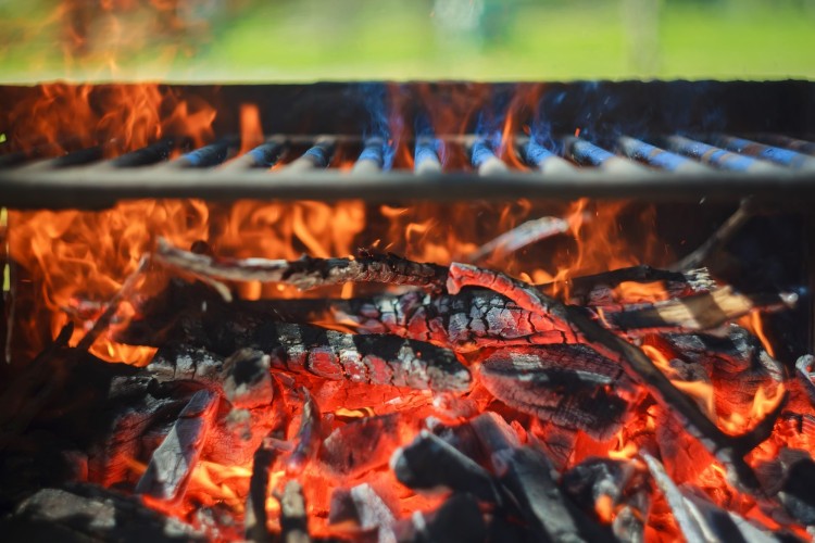 Majówka we Wrocławiu - tu legalnie zrobisz grilla i ognisko [LISTA MIEJSC NA PLENER WE WROCŁAWIU], Adobe Stock